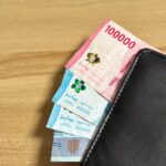 Varieties Of Wallets