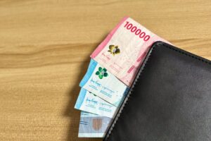 Varieties Of Wallets