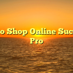 How to Shop Online Such as a Pro