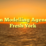 Man Modelling Agencies Fresh York