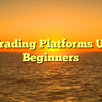 Top Trading Platforms UK For Beginners