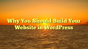 Why You Should Build Your Website in WordPress