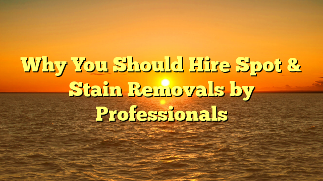 Why You Should Hire Spot & Stain Removals by Professionals